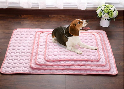 ChillPaws™ – Eisseidene Kühlmatte für Hunde & Katzen