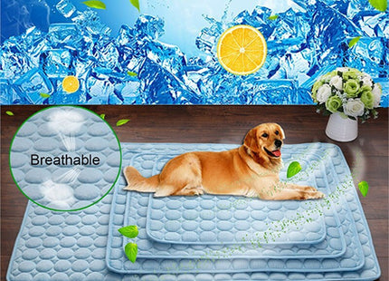 ChillPaws™ – Eisseidene Kühlmatte für Hunde & Katzen