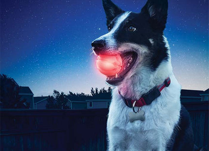 BrightBite Ball: Das leuchtende Spielzeug für glückliche Hunde
