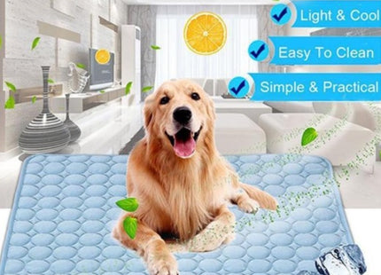 ChillPaws™ – Eisseidene Kühlmatte für Hunde & Katzen