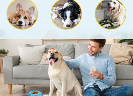 SlowFeast™ – Vierlagiger Slow Feeder Puzzle Napf