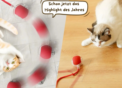 Nimbu™ – Die Jagd beginnt