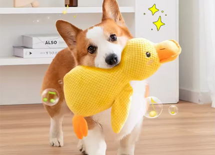 Stomping Duck – Das Lieblingsspielzeug