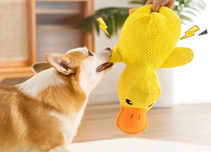 Stomping Duck – Das Lieblingsspielzeug