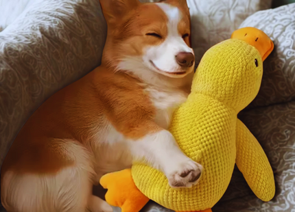 Stomping Duck – Das Lieblingsspielzeug