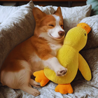 Stomping Duck – Das Lieblingsspielzeug